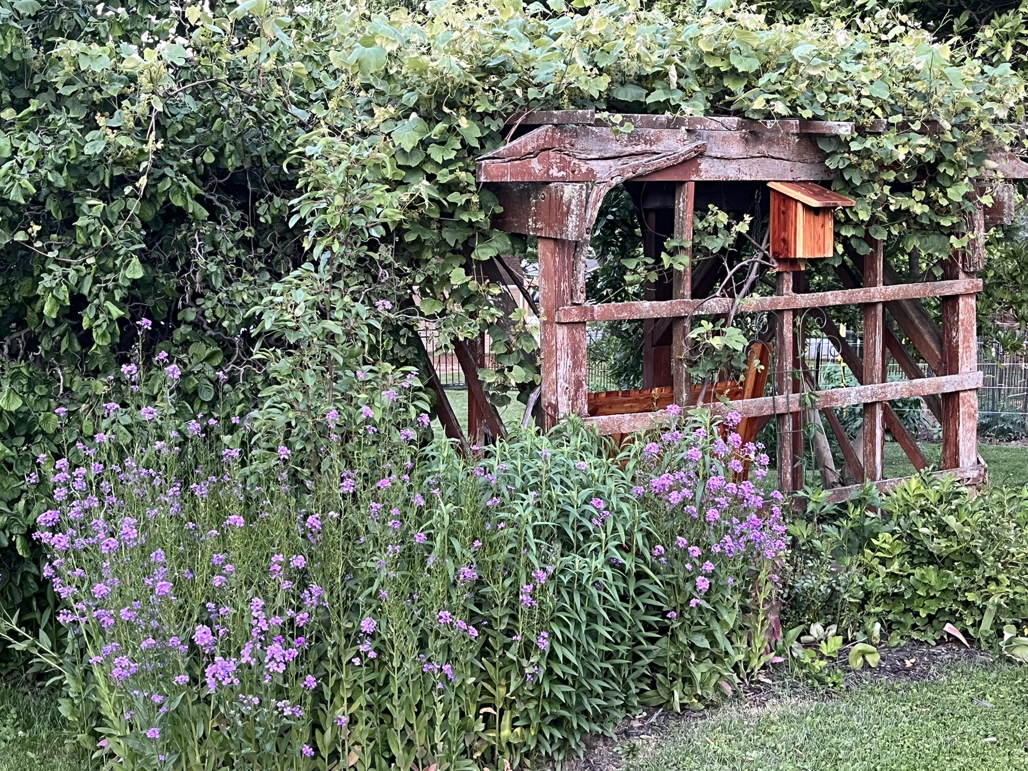 Garden photo